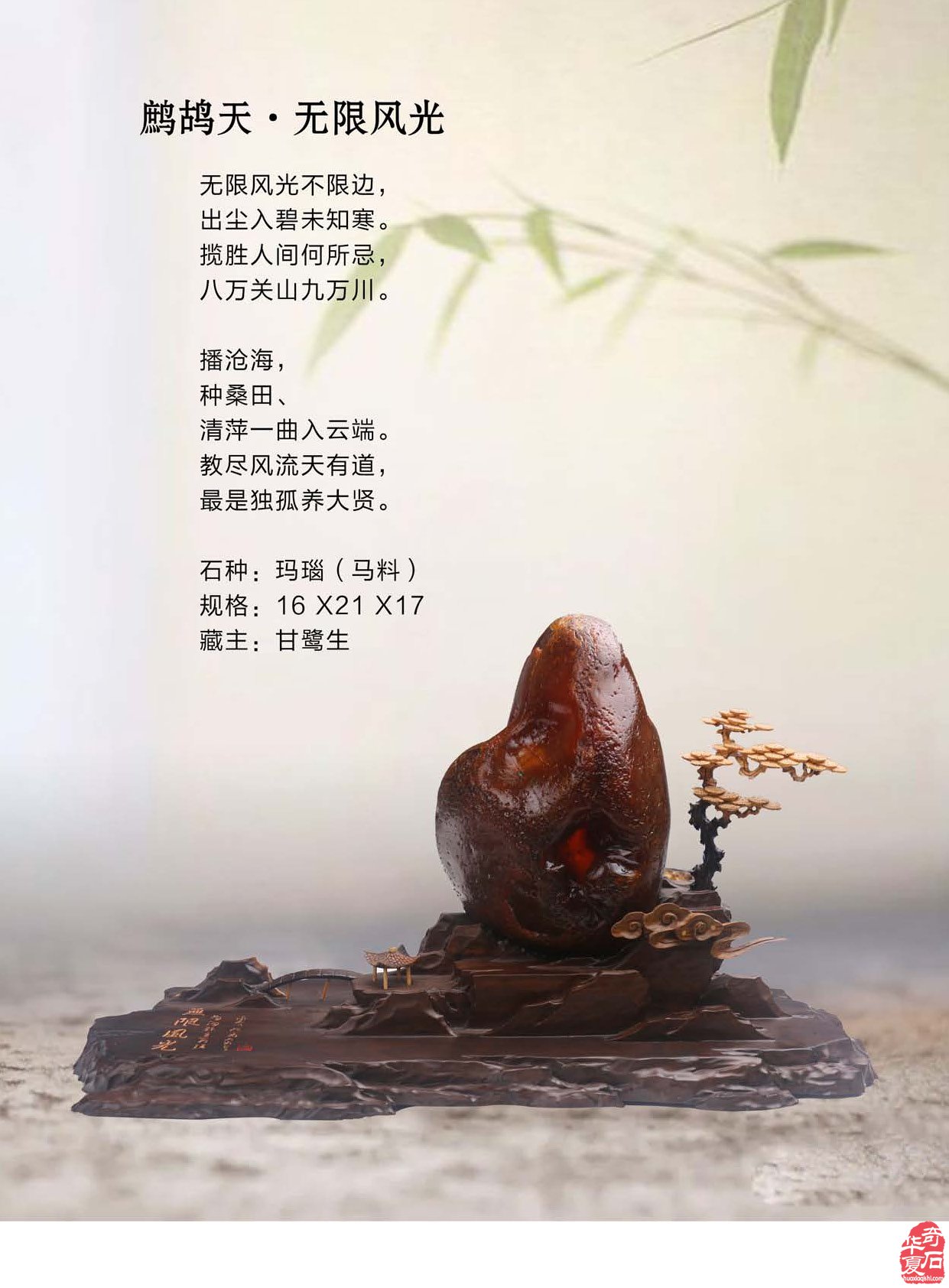 《于公赏石》推介深受石界喜欢的漂亮美石