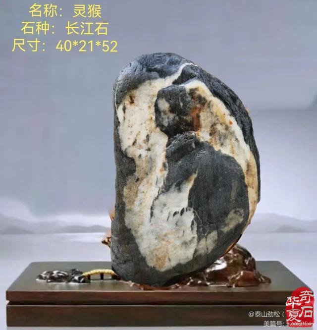 镌刻在石头上的西游记 ——岛城藏石名家董利新有故事的藏石