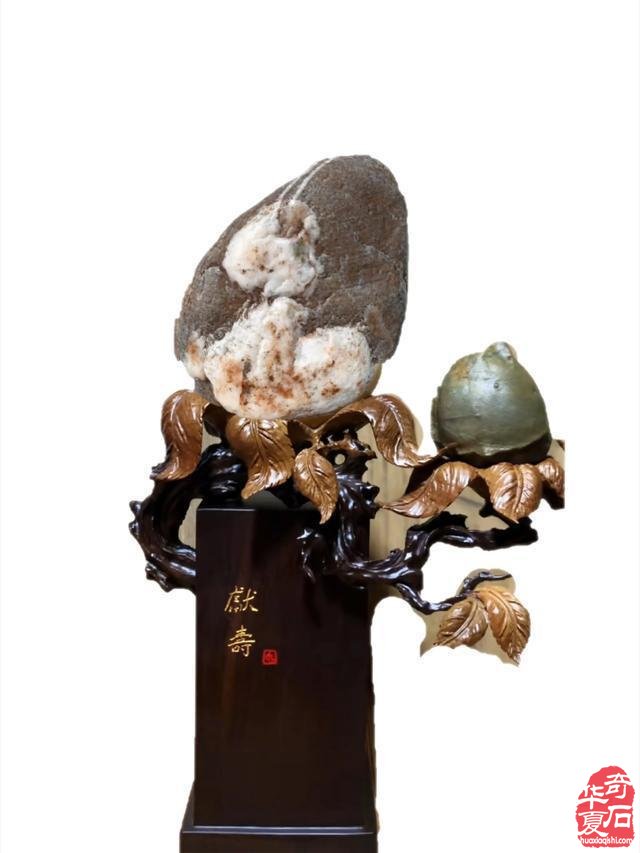 镌刻在石头上的西游记 ——岛城藏石名家董利新有故事的藏石