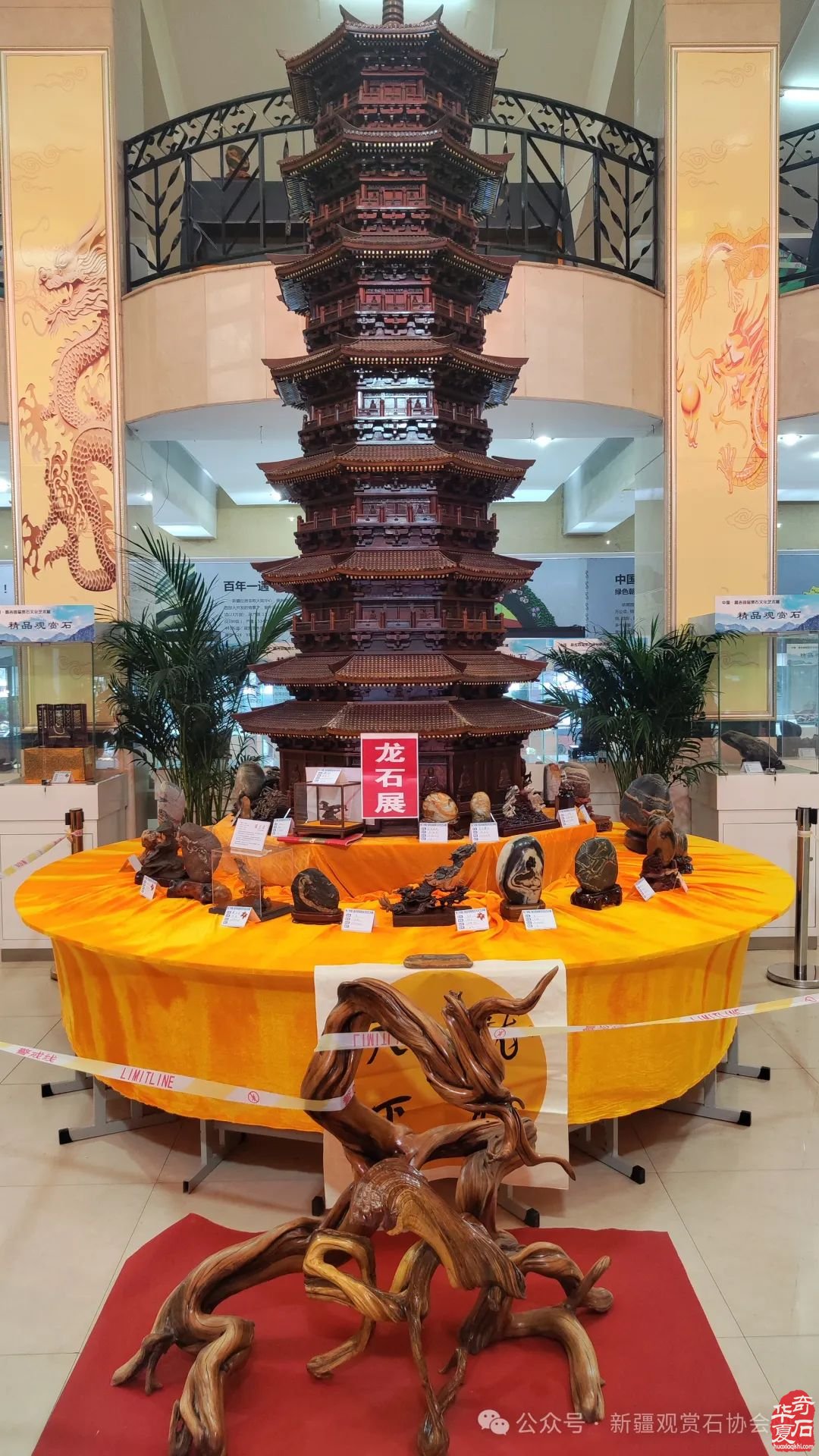首届中国.昌吉赏石文化艺术展盛大开幕