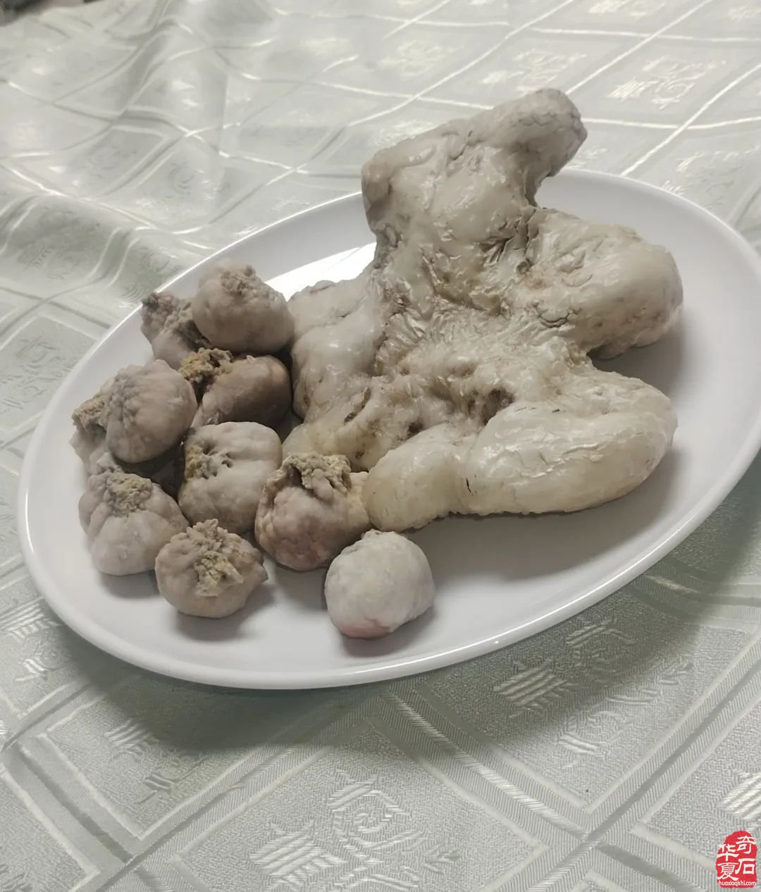 郑州难得一见的奇石盛宴不能不说