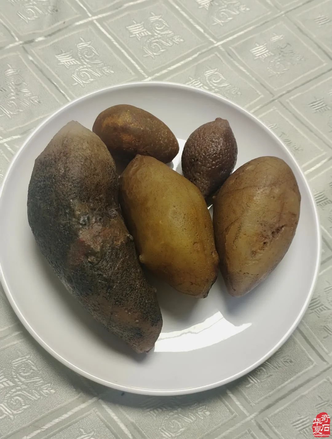 郑州难得一见的奇石盛宴不能不说