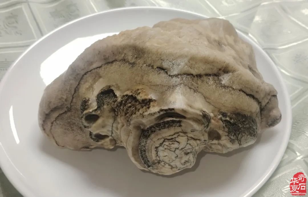 郑州难得一见的奇石盛宴不能不说