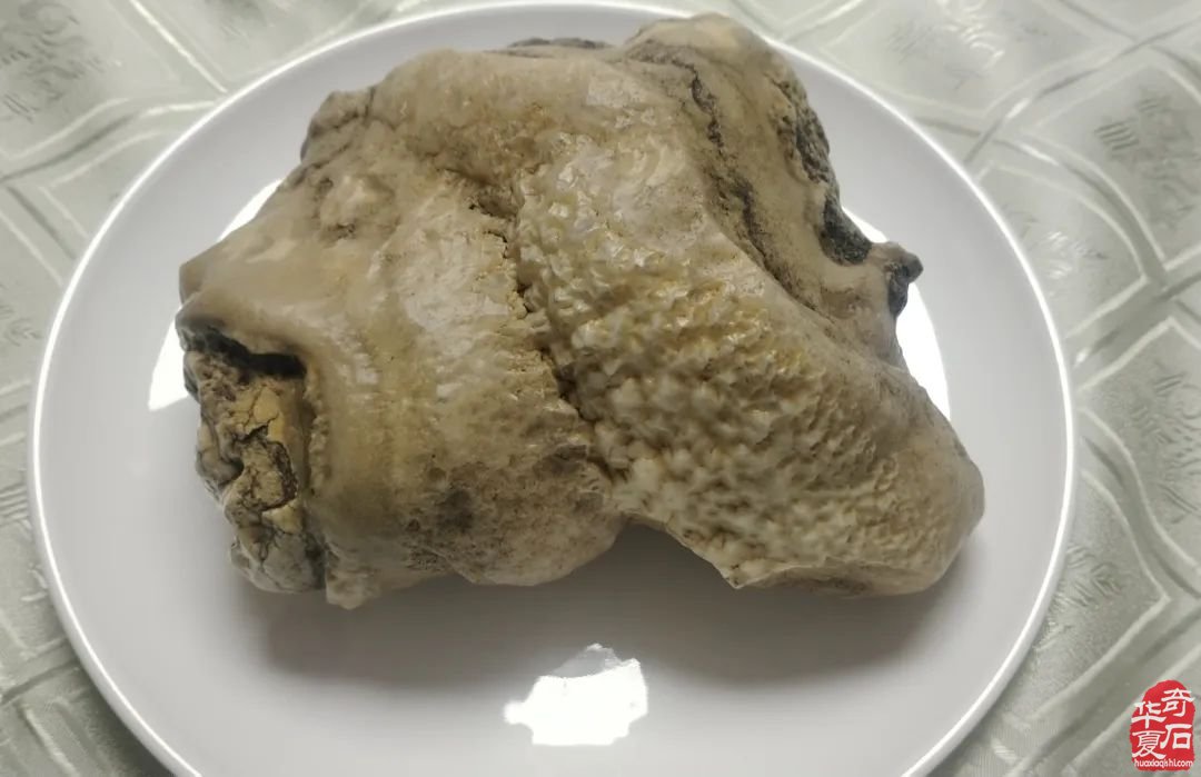郑州难得一见的奇石盛宴不能不说