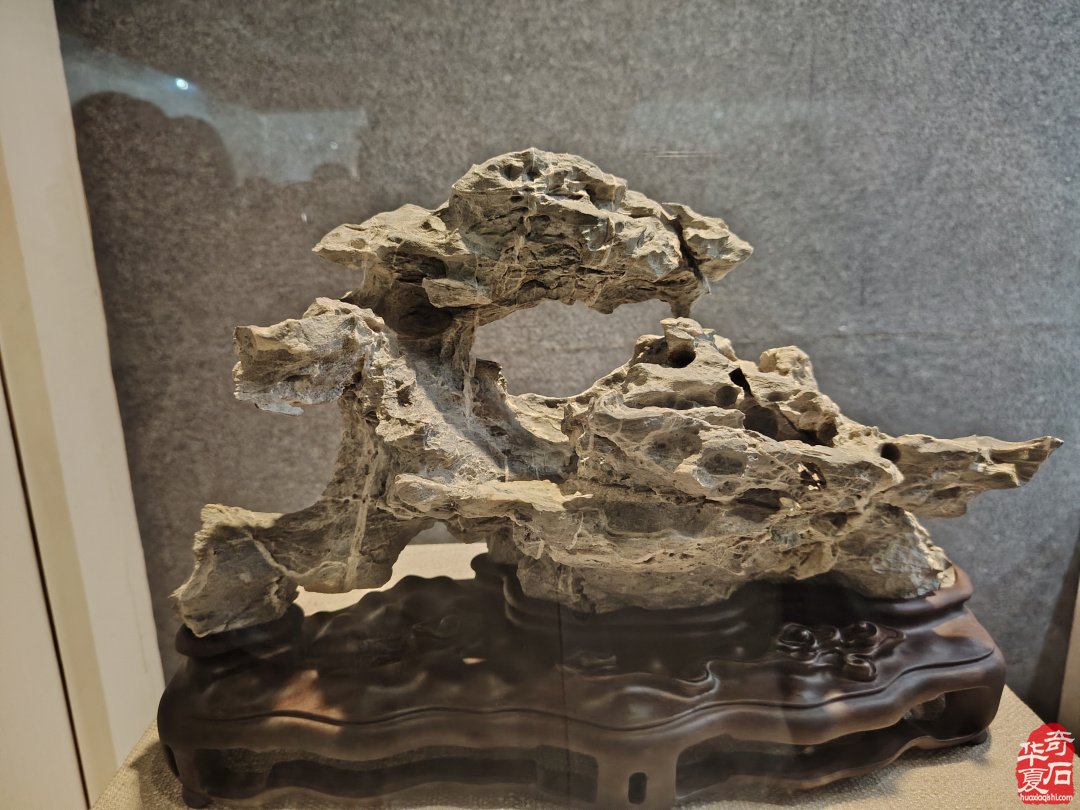 传统赏石鉴藏研习走进英石之乡《英德博物馆》