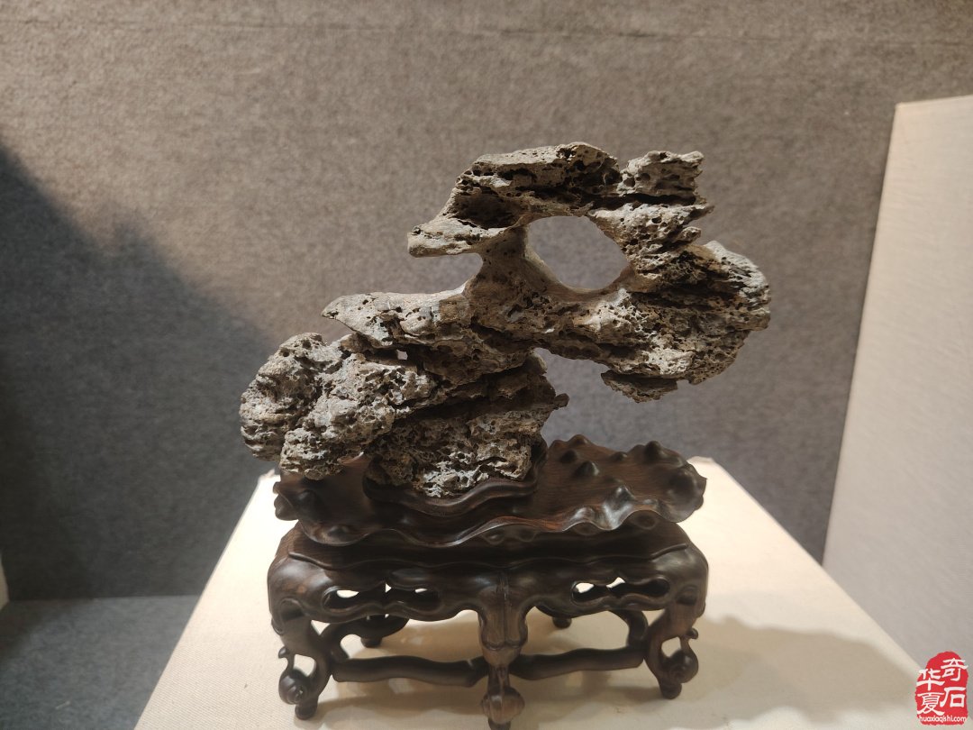传统赏石鉴藏研习走进英石之乡《英德博物馆》