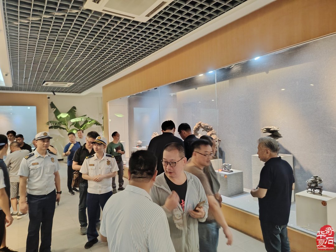 传统赏石鉴藏研习走进英石之乡《英德博物馆》