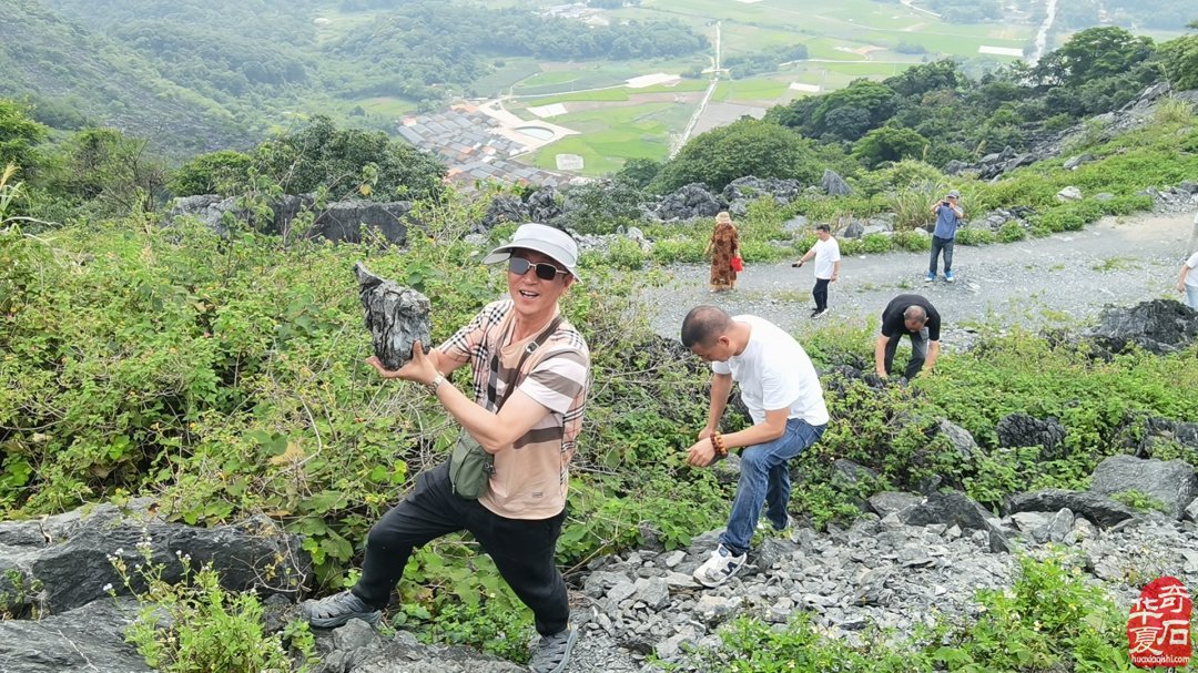 弘扬赏石文化不遗余力累并快乐的一群人