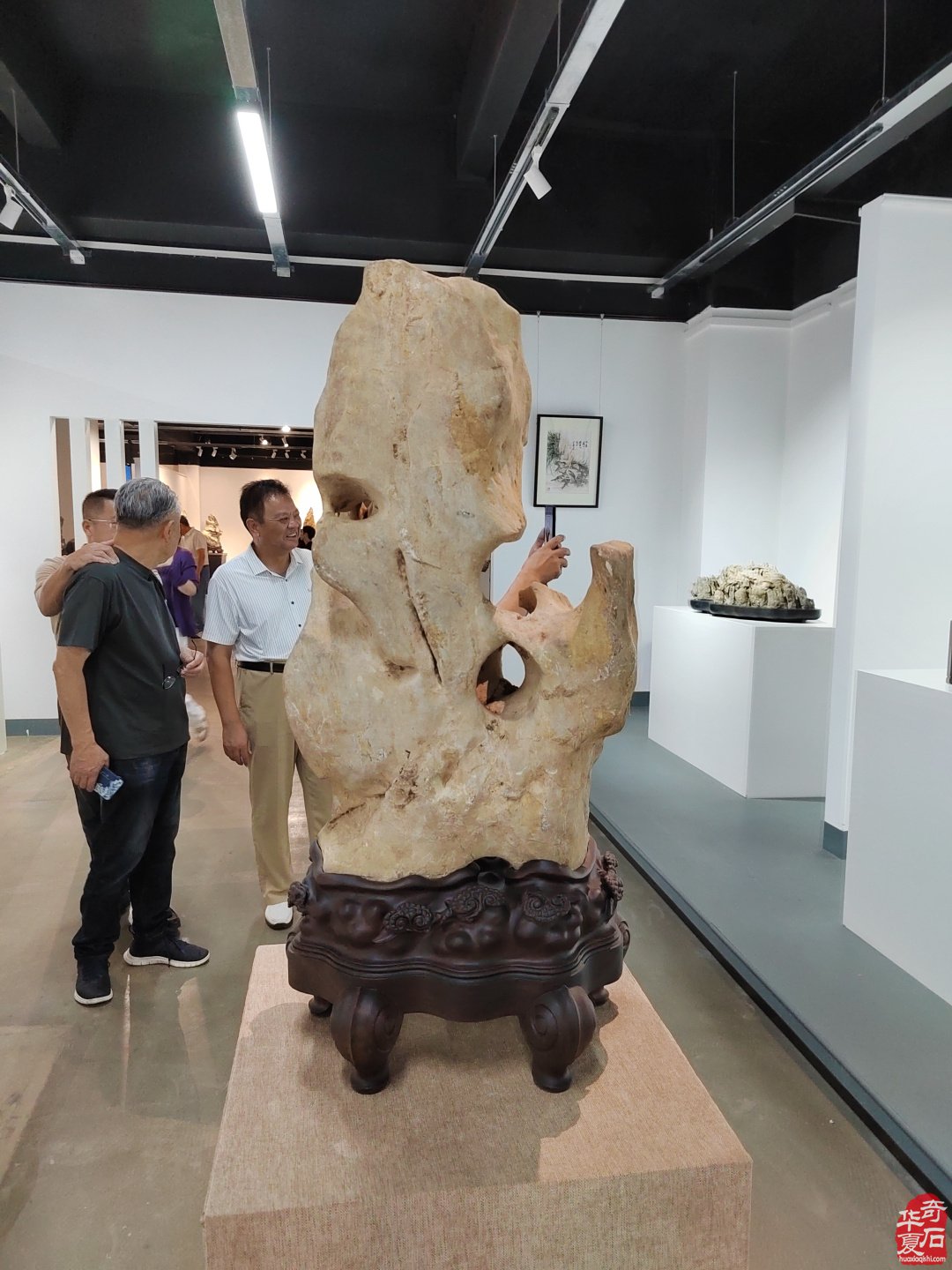 游走研习觅石淘宝英德顺德不虚此行