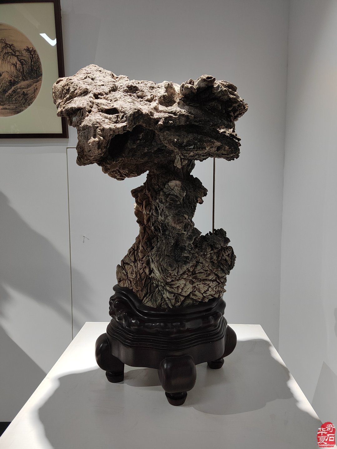 游走研习觅石淘宝英德顺德不虚此行