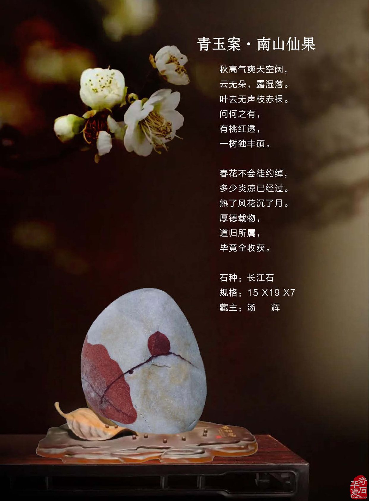 新的一期《于公赏石》杂志上线啦
