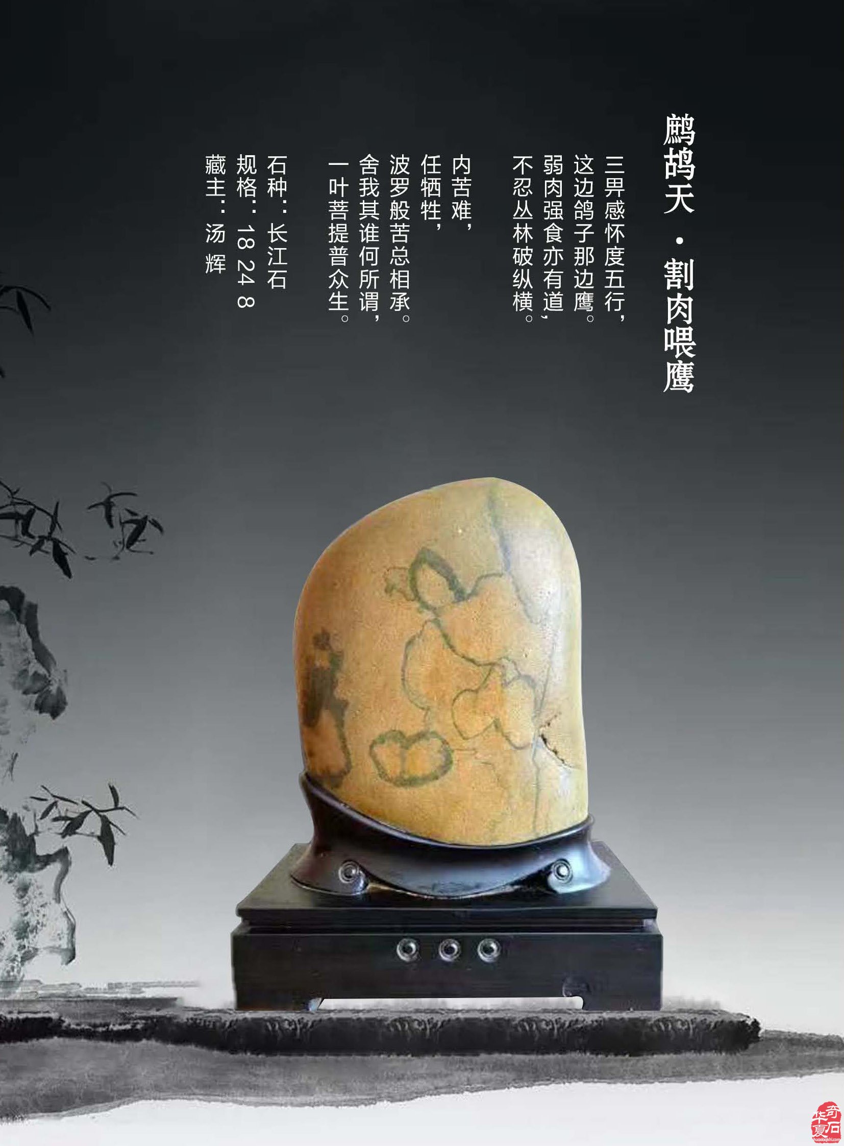 新的一期《于公赏石》杂志上线啦