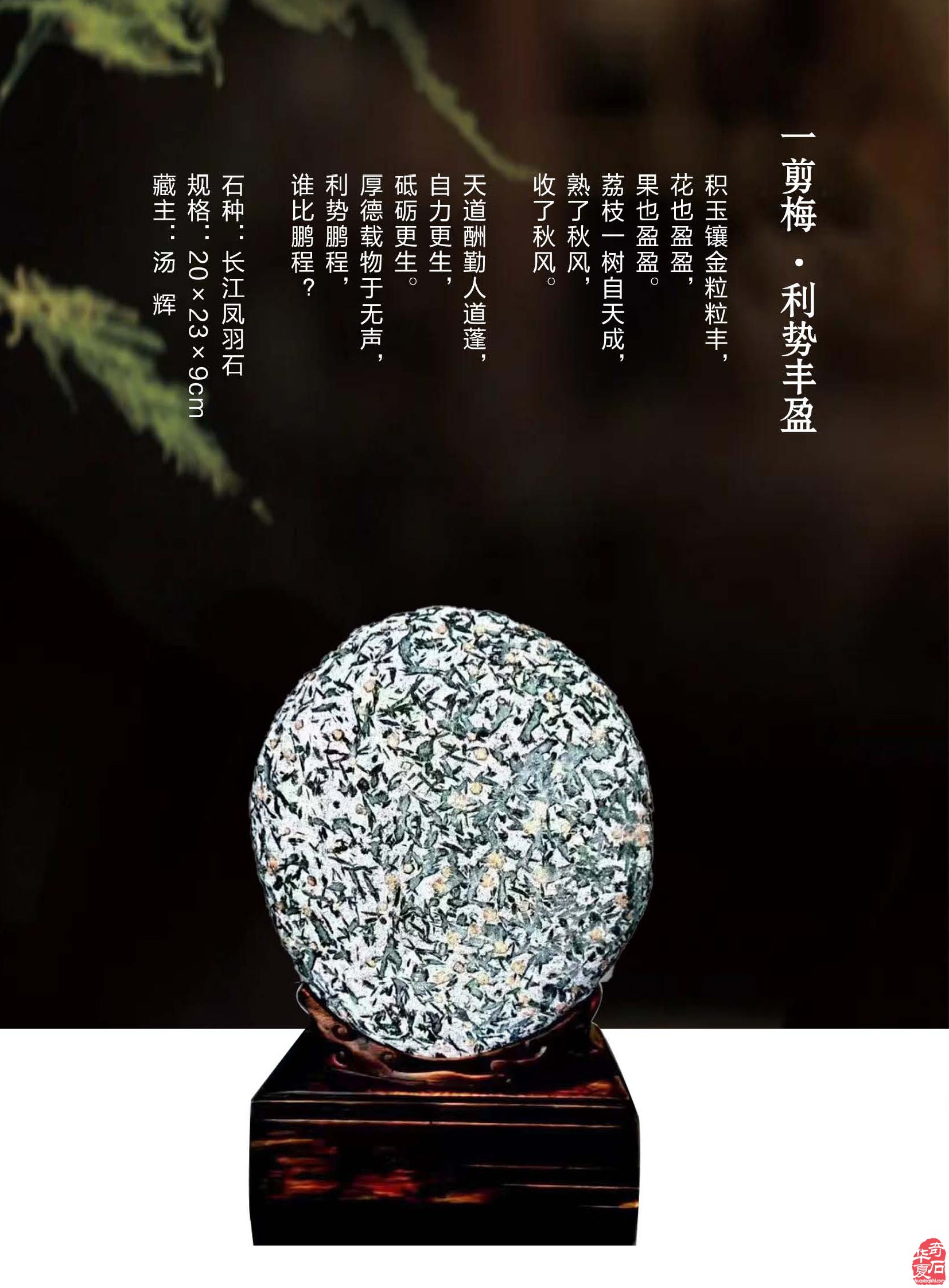 新的一期《于公赏石》杂志上线啦