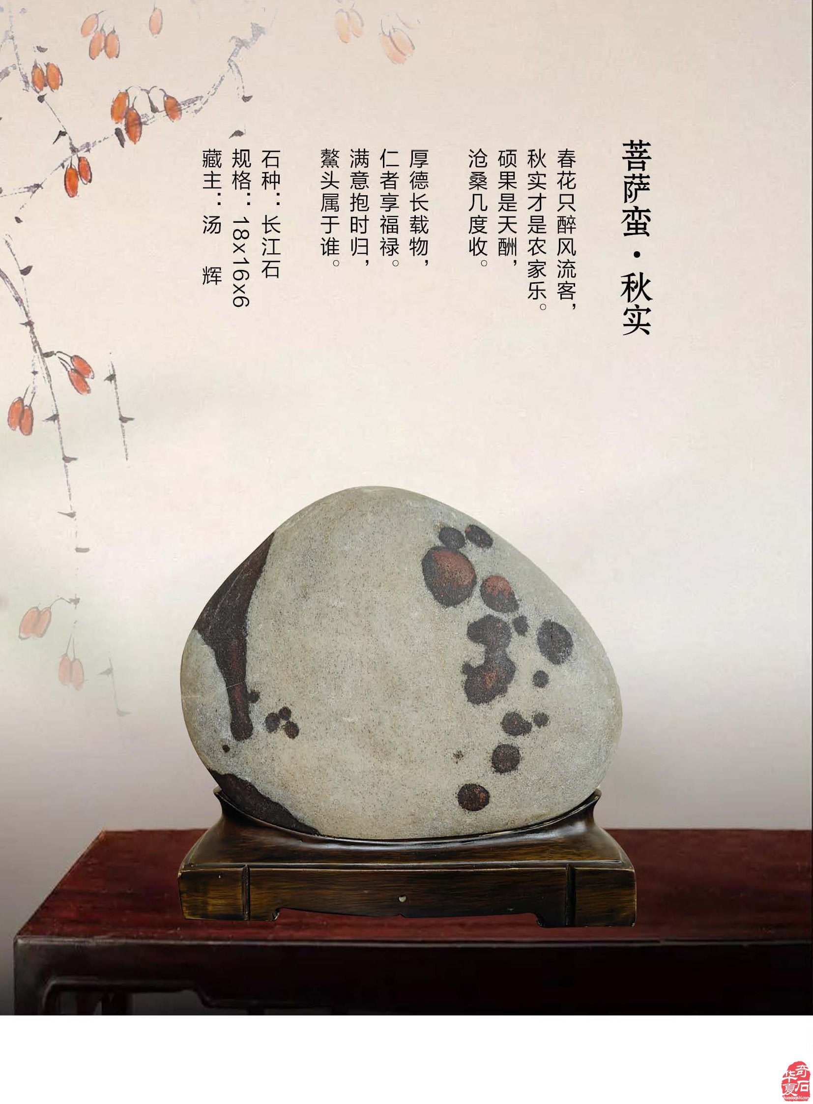新的一期《于公赏石》杂志上线啦