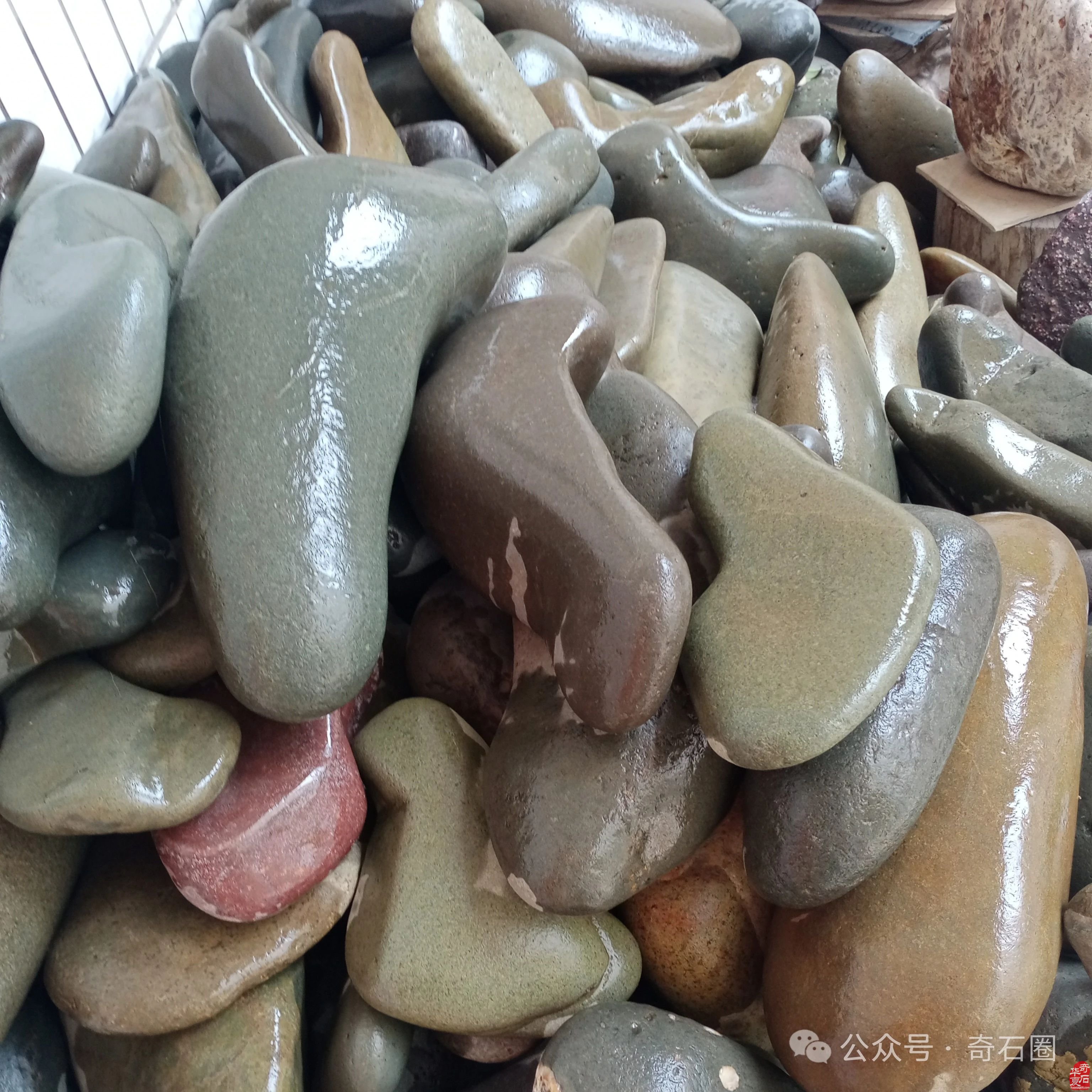 雅赏洛阳石界靓丽的“伊河青”