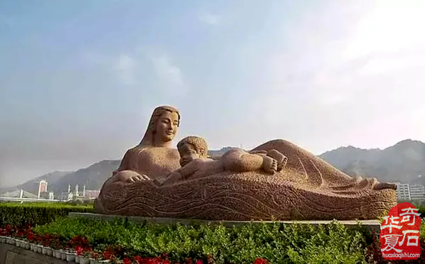 长在石头上的“黄河母亲”和画出来的一样