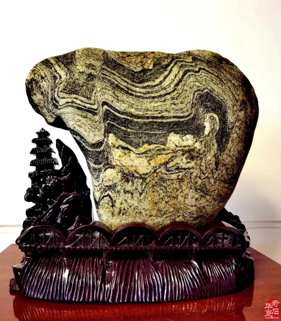 长在石头上的“黄河母亲”和画出来的一样