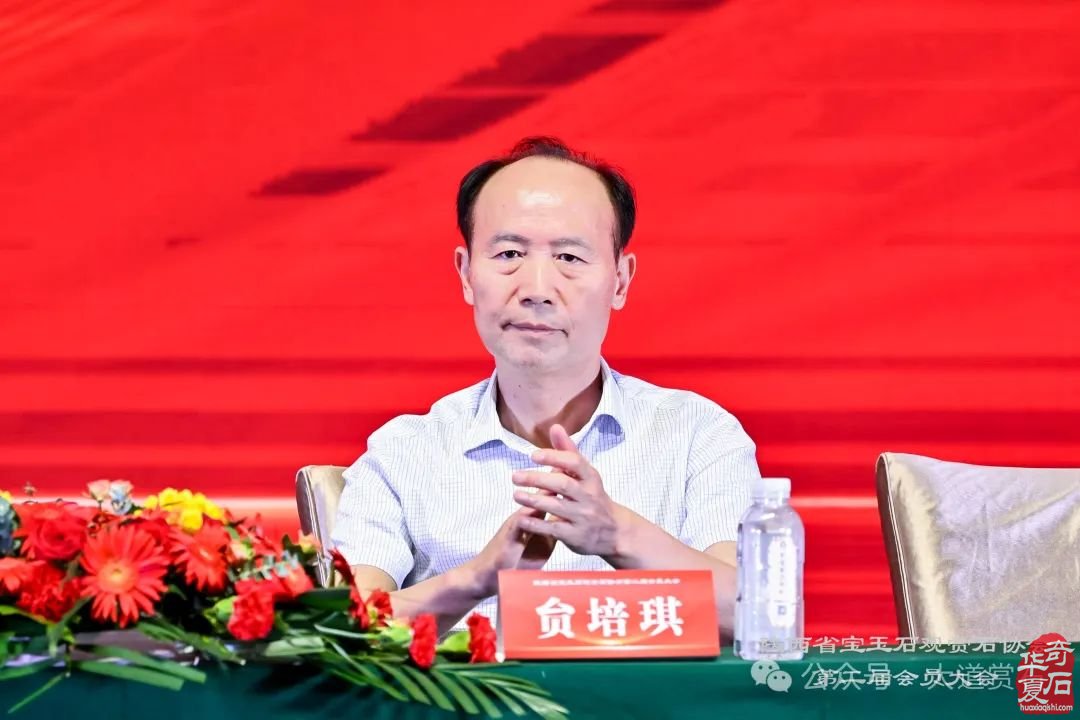热烈祝贺张华当选陕西省宝玉石观赏石协会会长