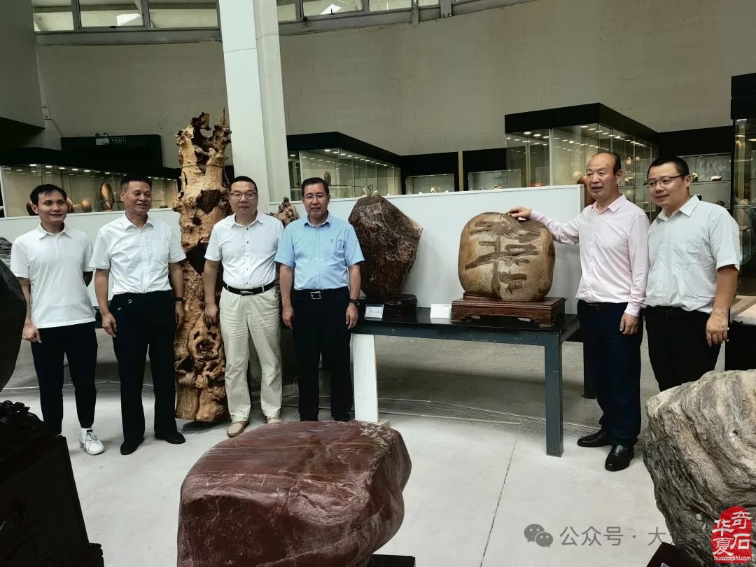 热烈祝贺张华当选陕西省宝玉石观赏石协会会长