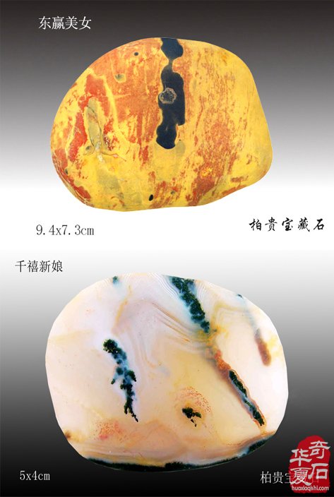 爱赏石的我不用扬鞭自奋蹄