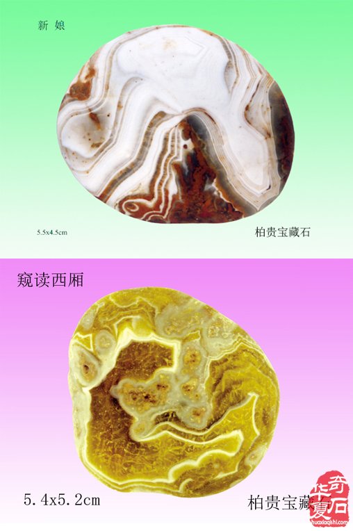 爱赏石的我不用扬鞭自奋蹄