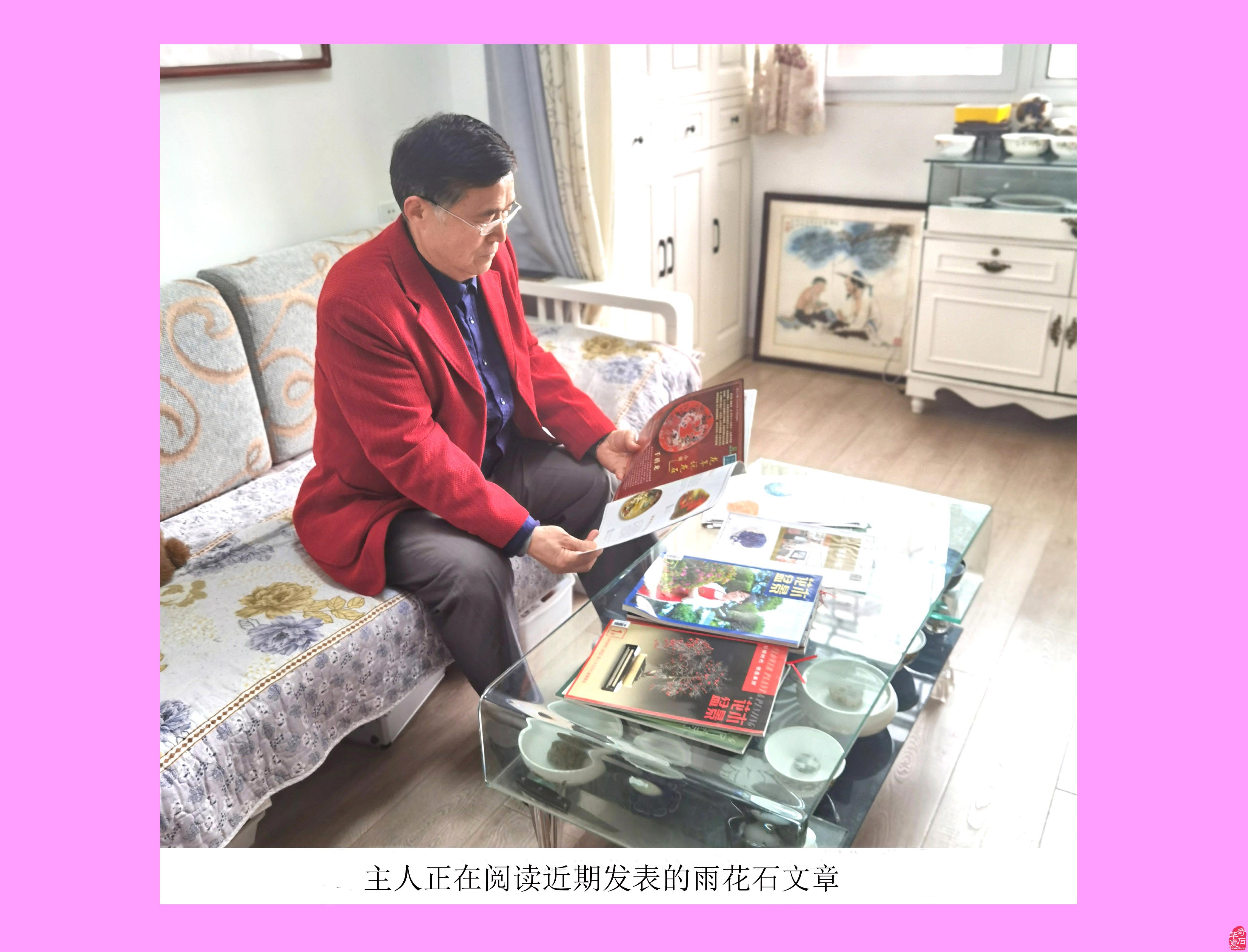 爱赏石的我不用扬鞭自奋蹄