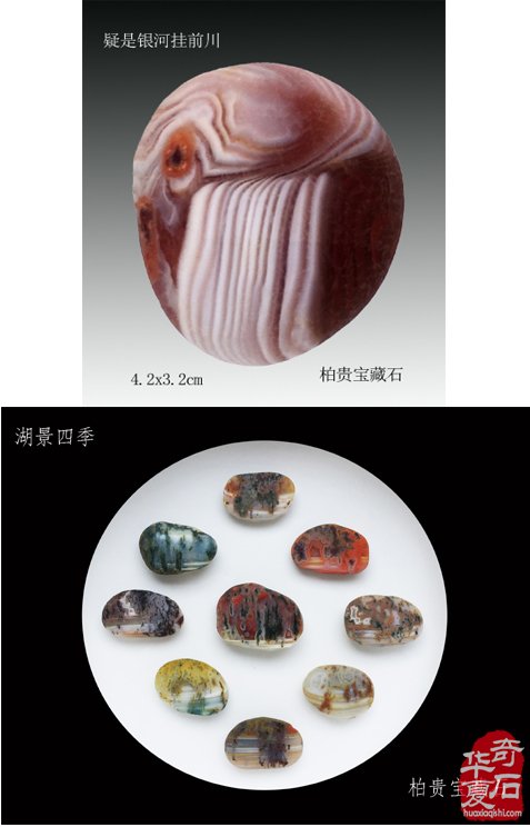 爱赏石的我不用扬鞭自奋蹄
