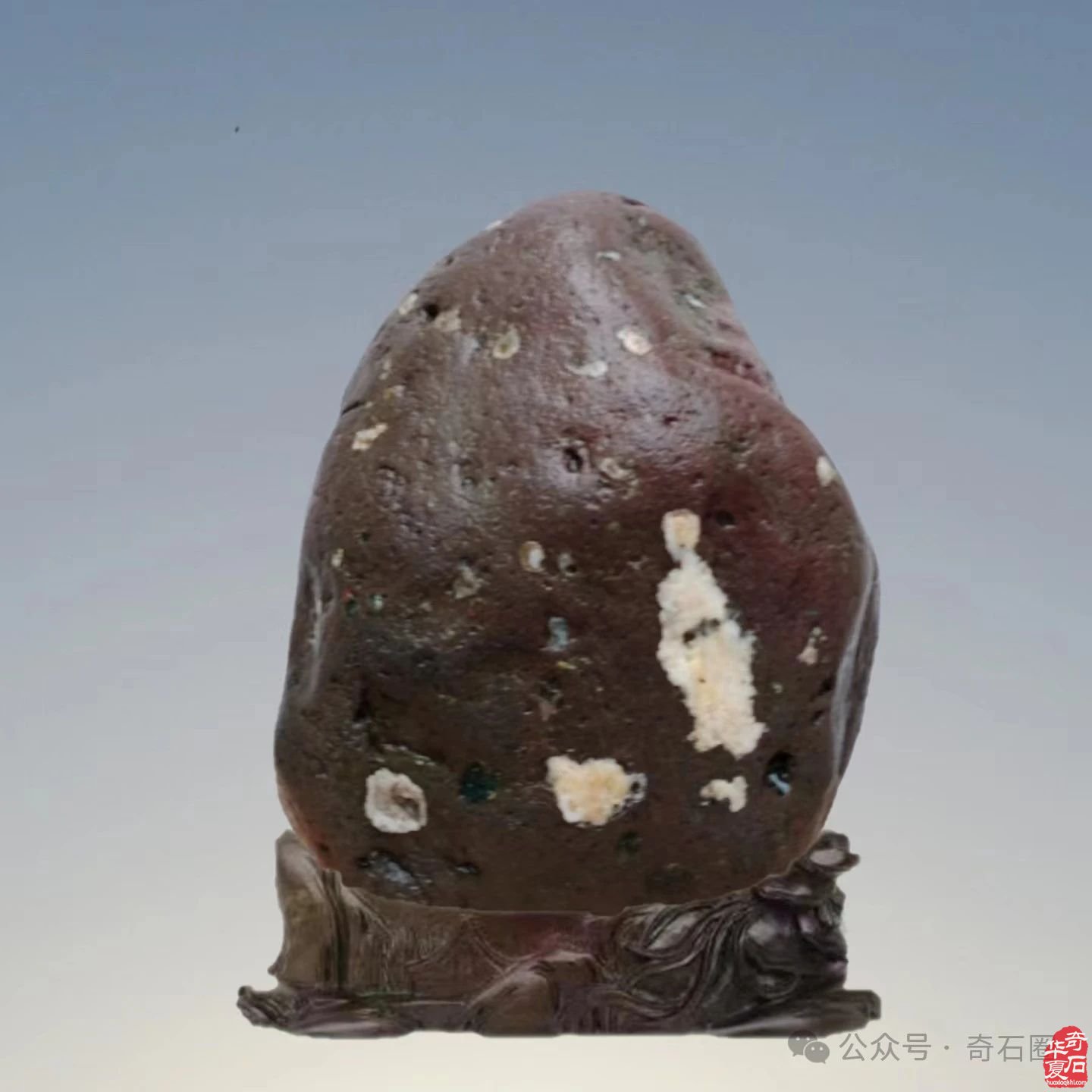 赏玩奇石，何乐之有？