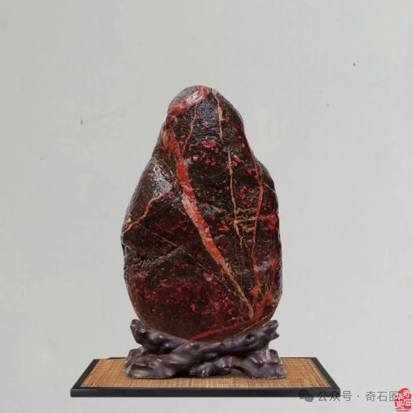 赏玩奇石，何乐之有？