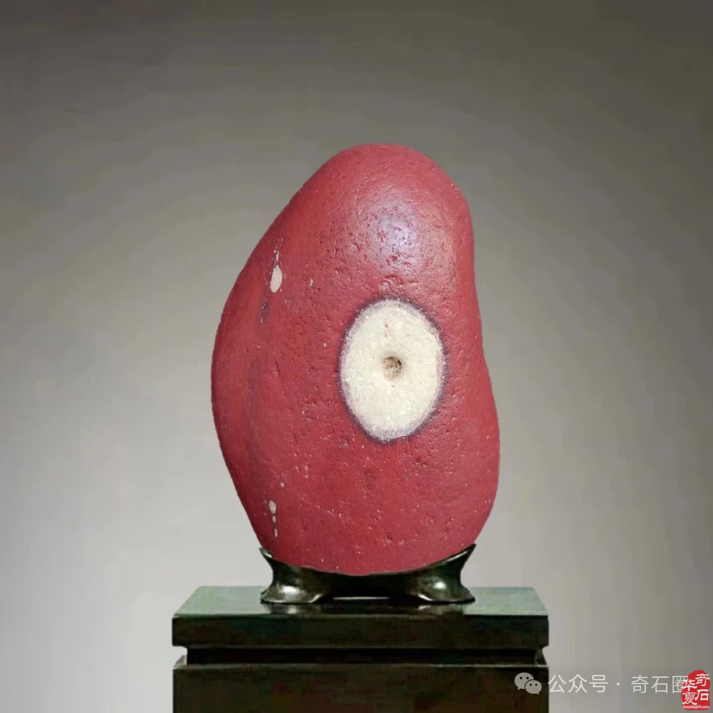 赏玩奇石，何乐之有？