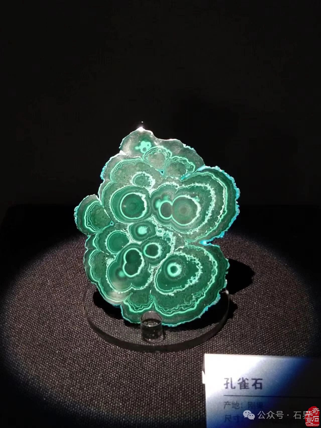 探秘山西当代赏石艺术博物馆 解锁石之奇幻密码