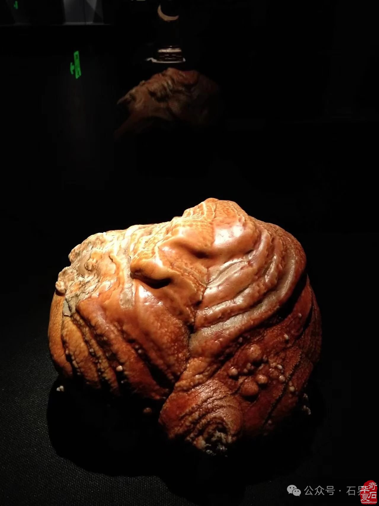 探秘山西当代赏石艺术博物馆 解锁石之奇幻密码