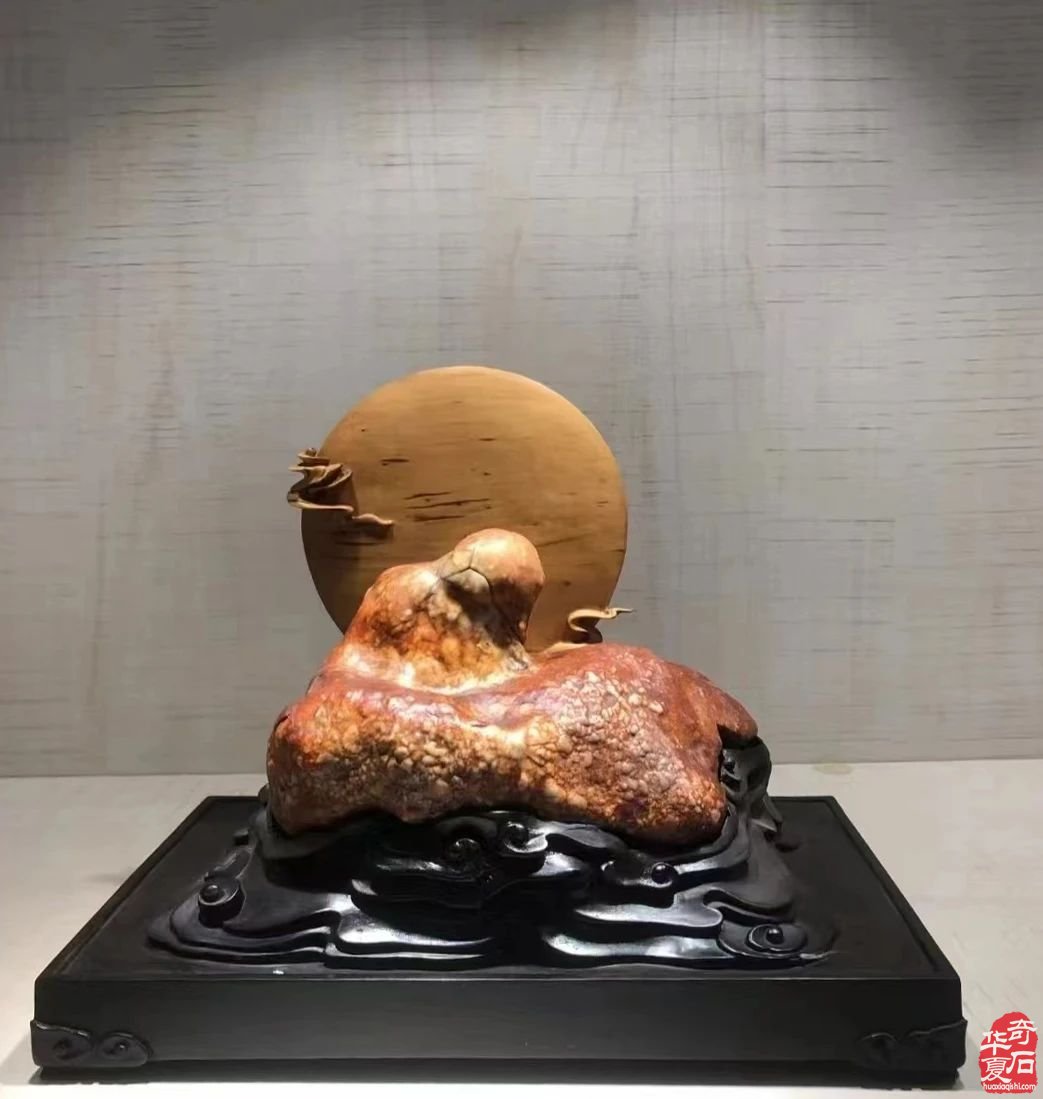 精品禅石,集中亮相兰州石展,期待您的加入!