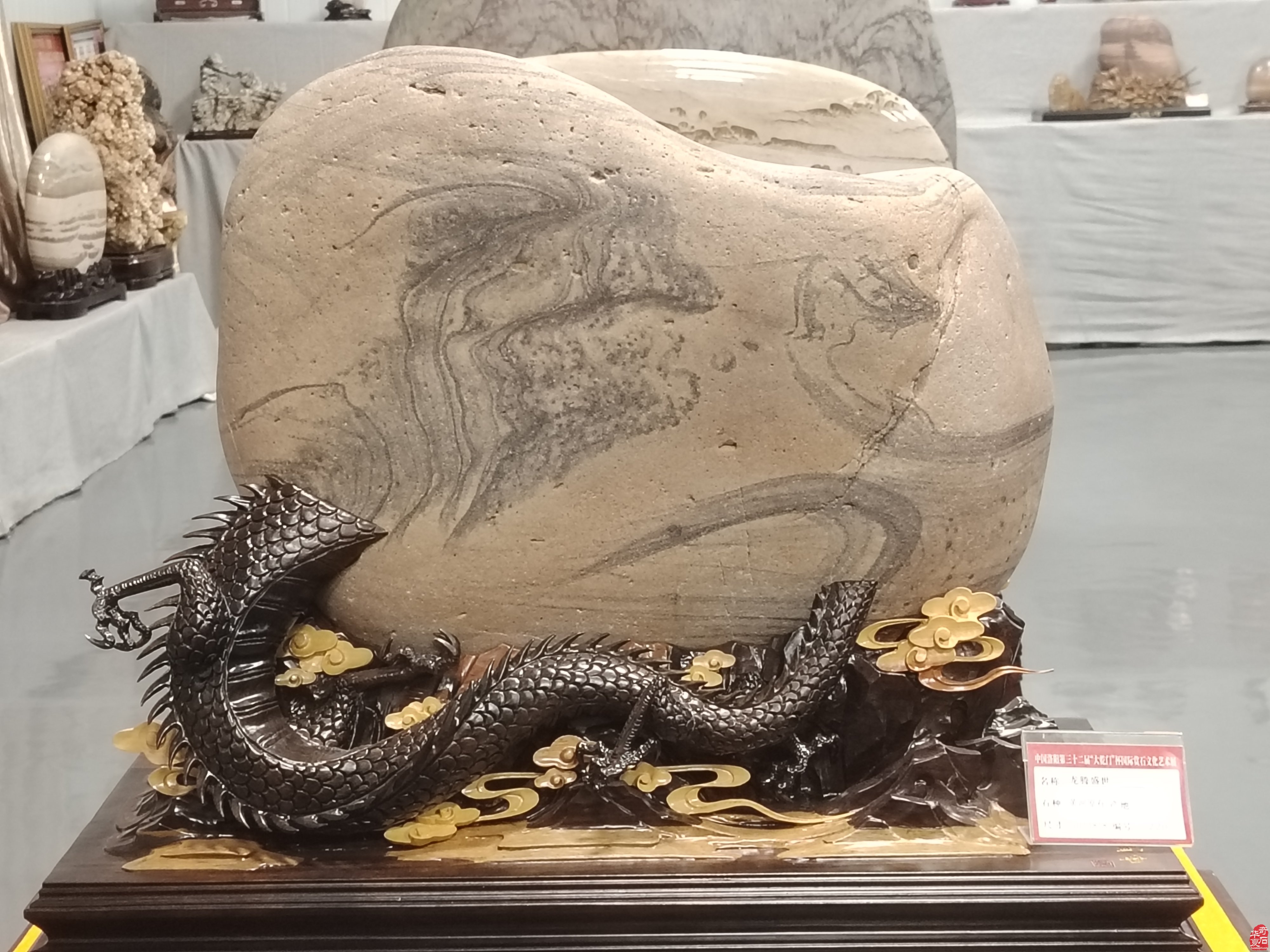 宣传黄河石摄制组走进黄河奇石文化馆 图