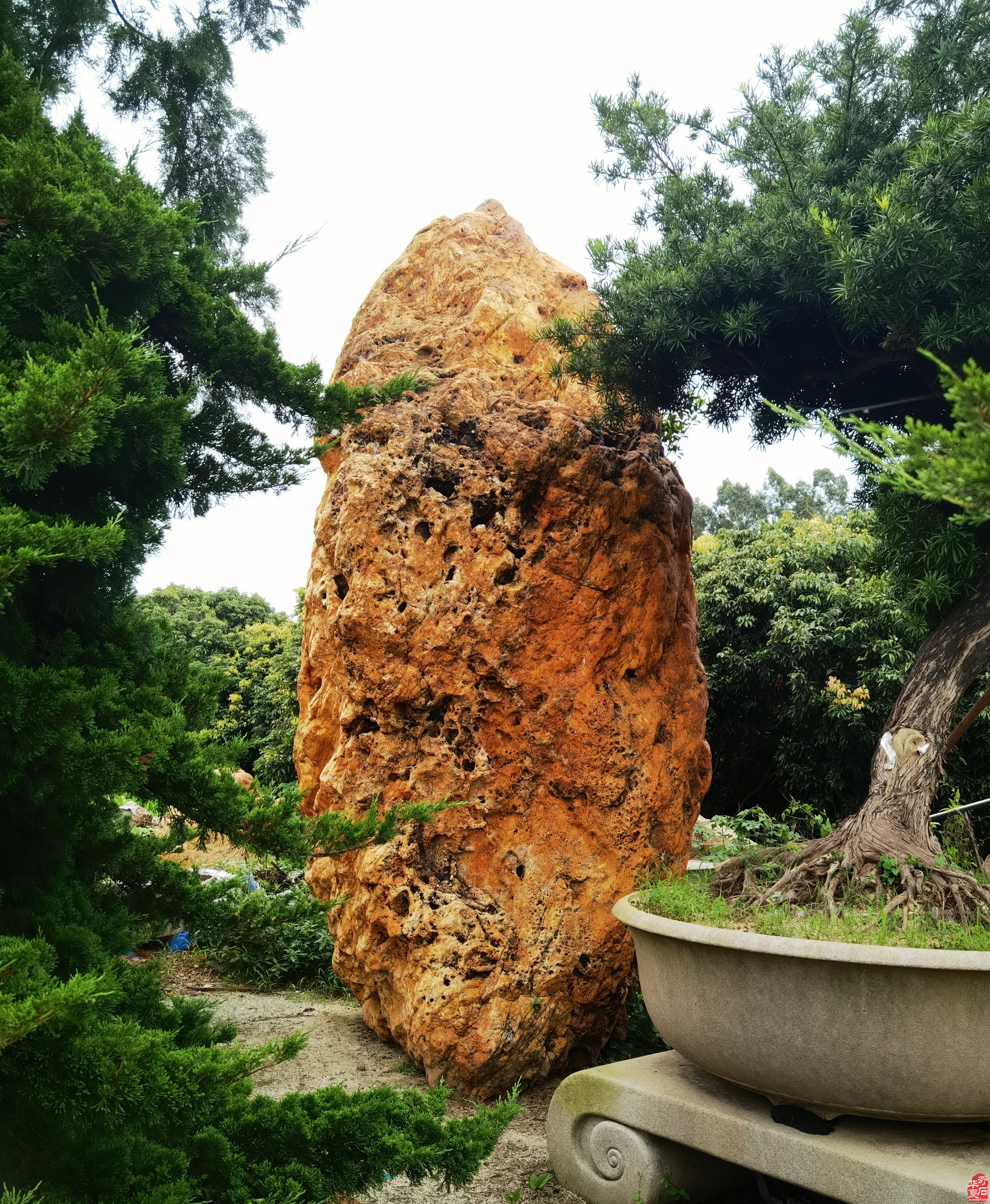 走进石界大藏家刘耀辉的奇石山庄 图