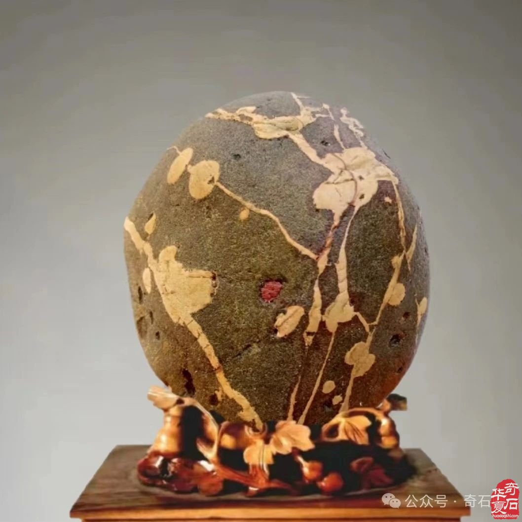 老有所乐我的幸福赏石生活 图