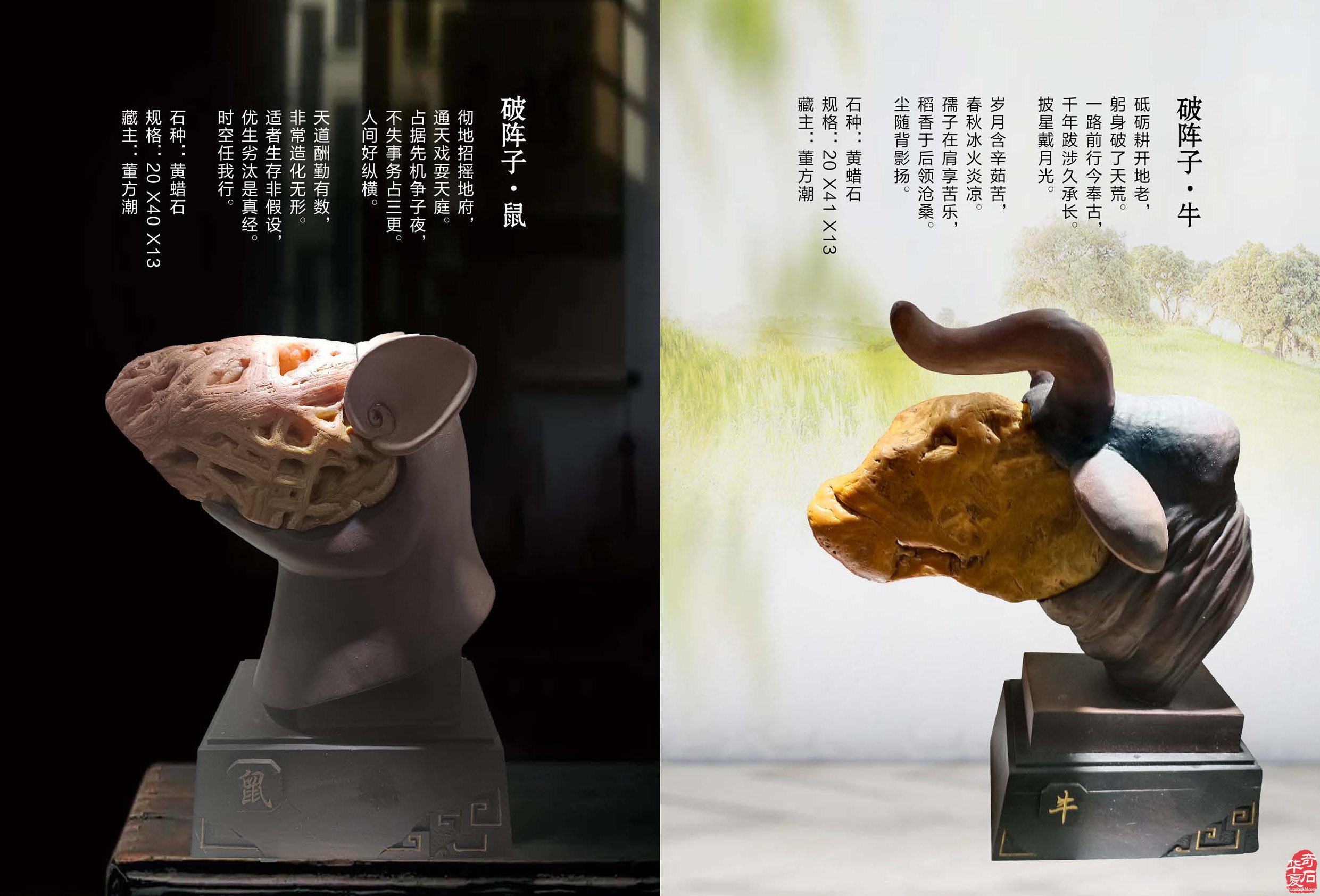 《于公赏石》引领赏石文化谈古论今