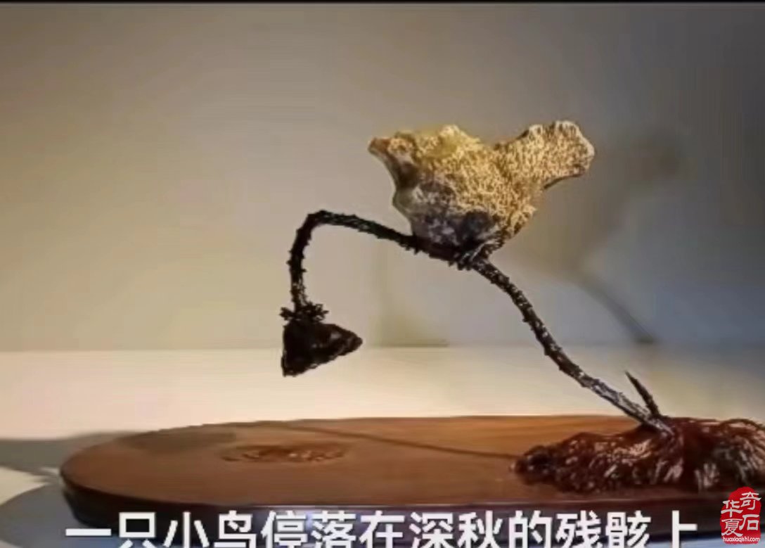 装修自家房子与石头结缘的万建华