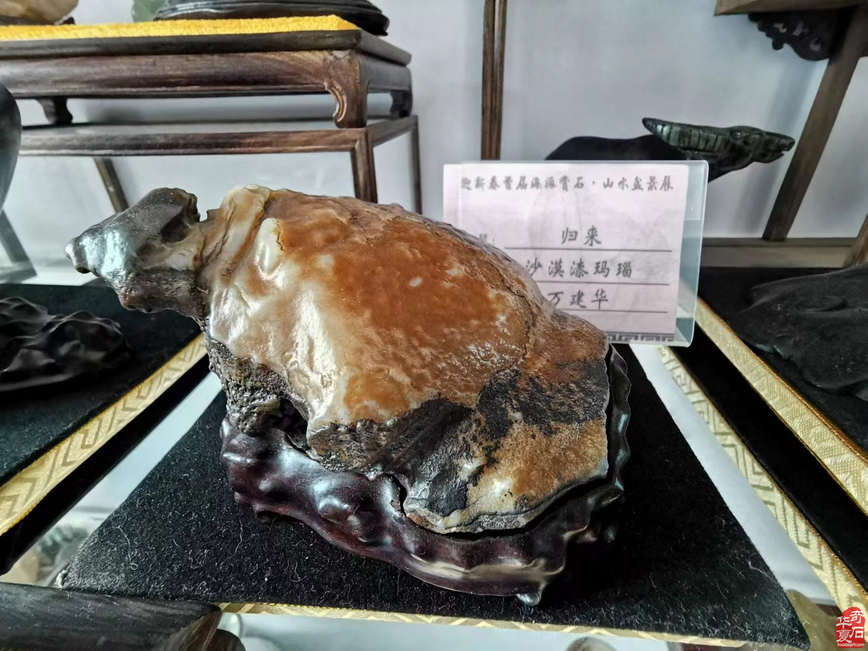 装修自家房子与石头结缘的万建华