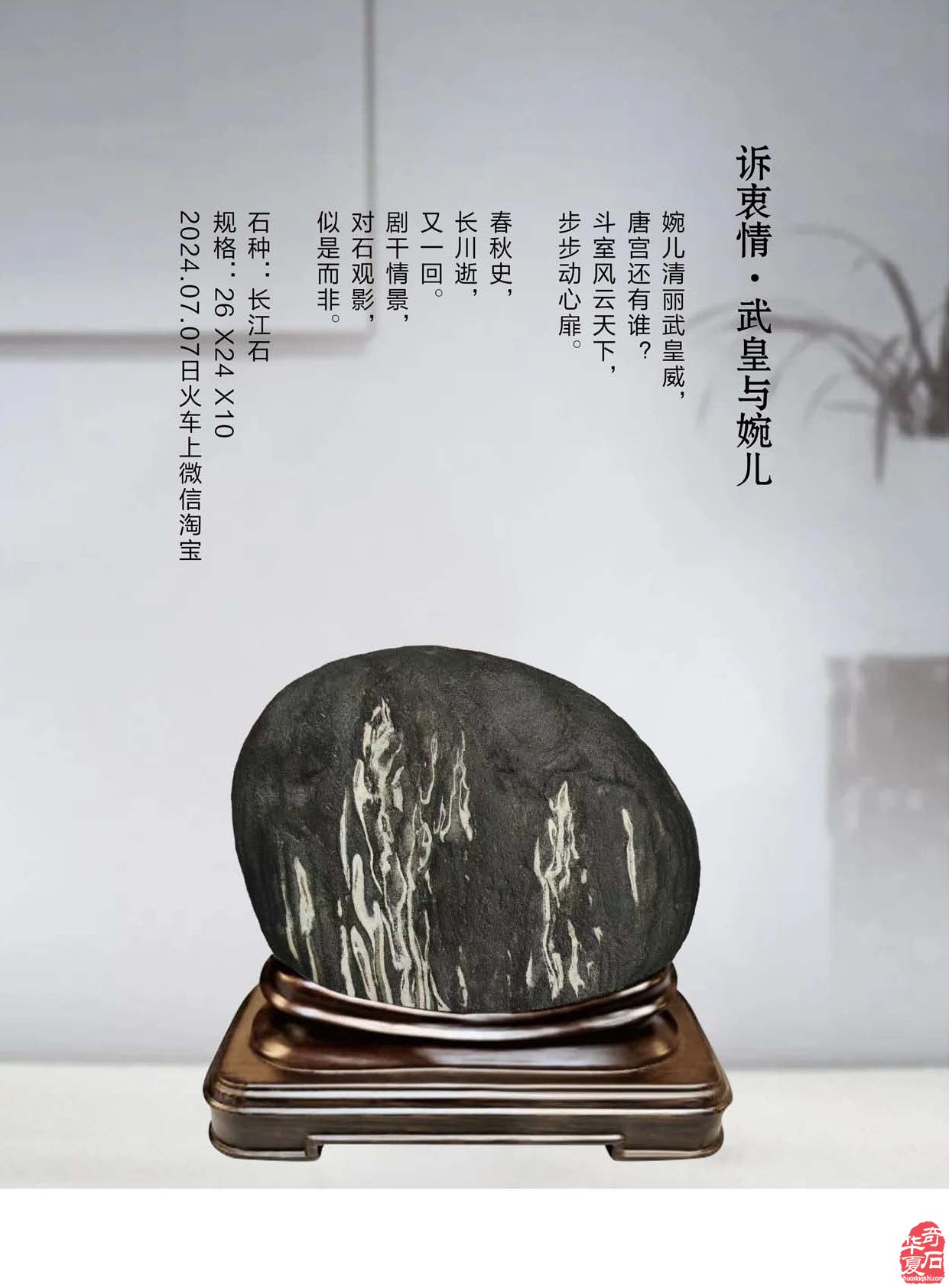 《于公赏石》引领赏石文化谈古论今