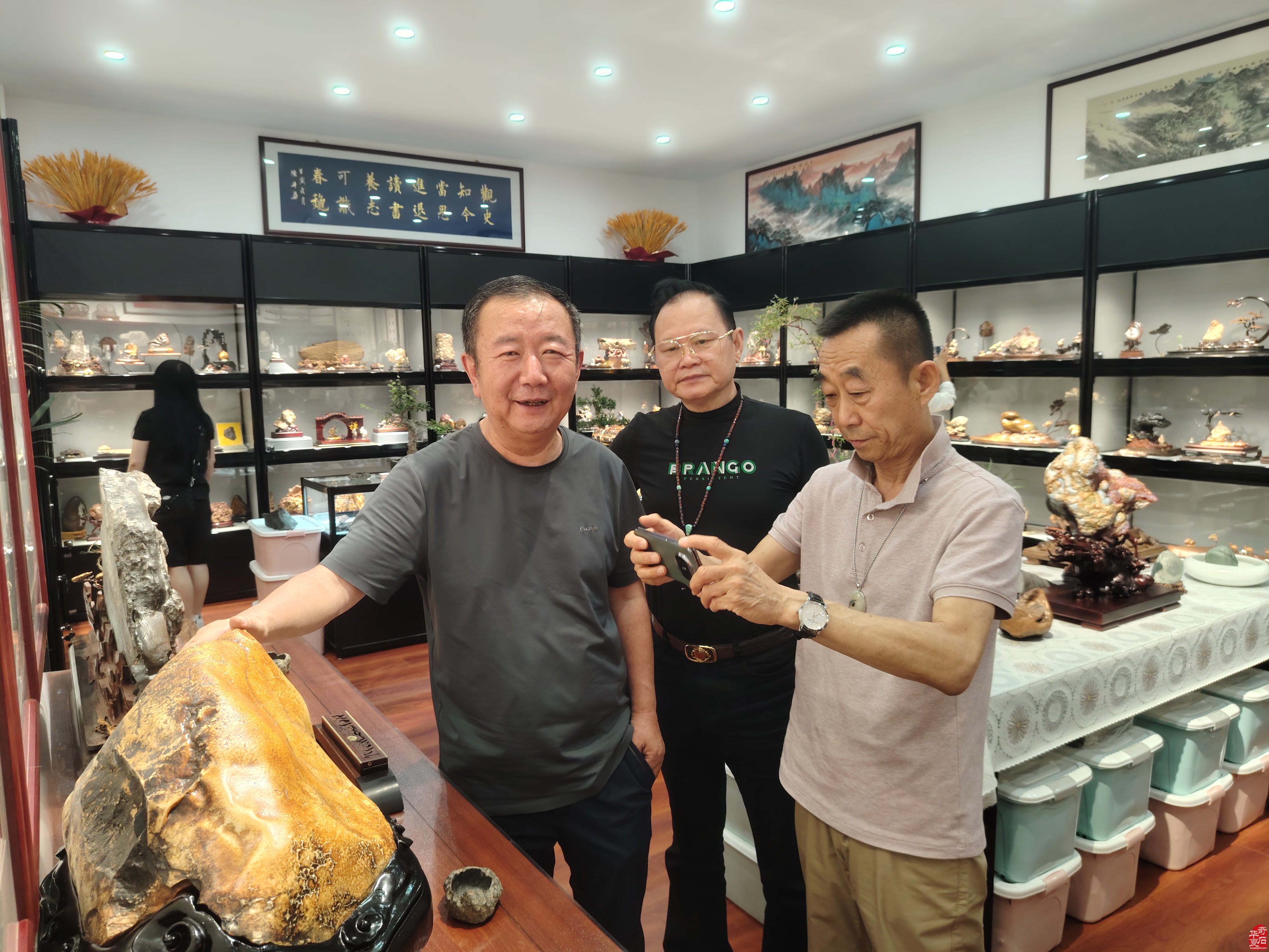 参访张敏的《澎湃山水》奇石美学馆