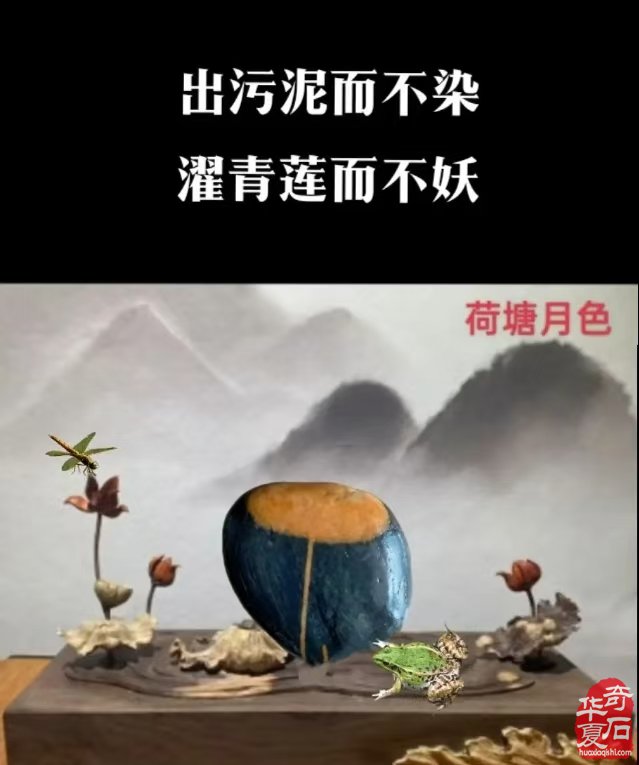 一个藏石人对赏石认知及心得体会