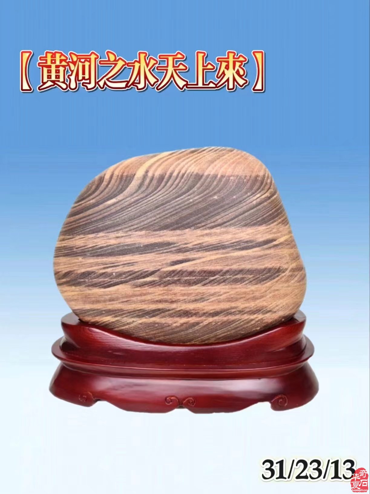 黄河美石乒乓祝贺中国乒乓球队巴黎奥运会包揽五金