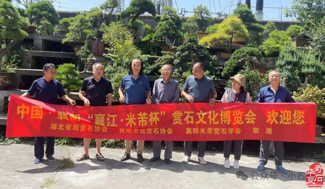 2024襄阳石博会:众星云集,共襄赏石盛举,你不容错过!