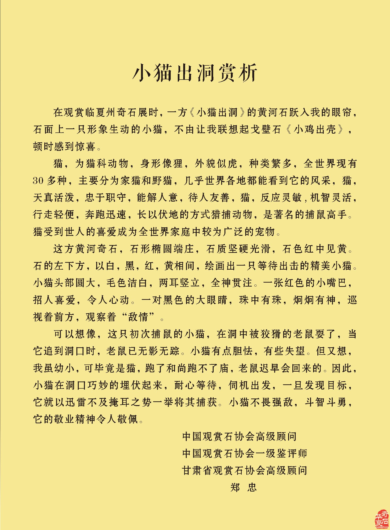 新的一期《于公赏石》电子版杂志上线啦