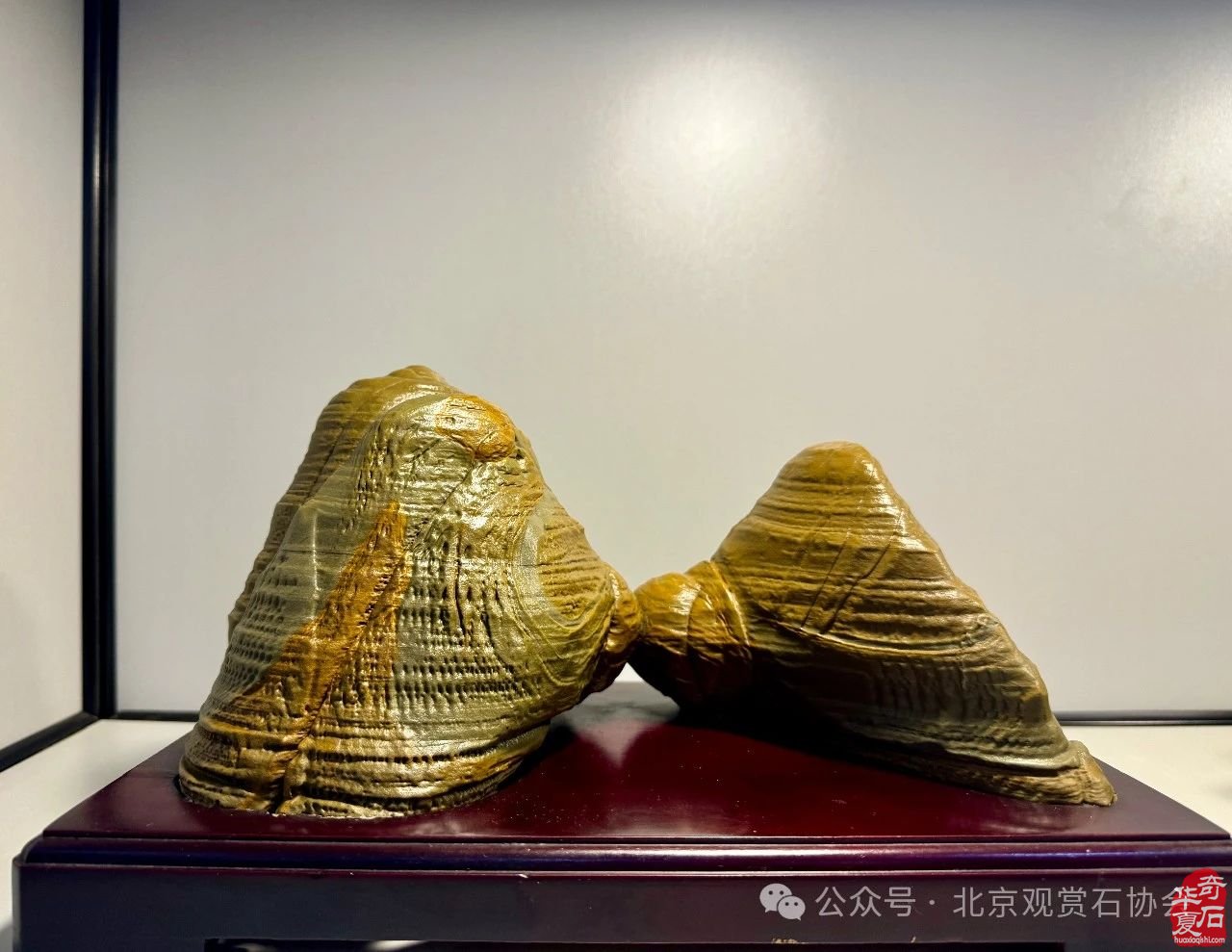中国观赏石·醉美蒙古贞玛瑙·达雅博尔文化旅游艺术周暨第三届“赏石艺术杯”优品汇盛大开幕