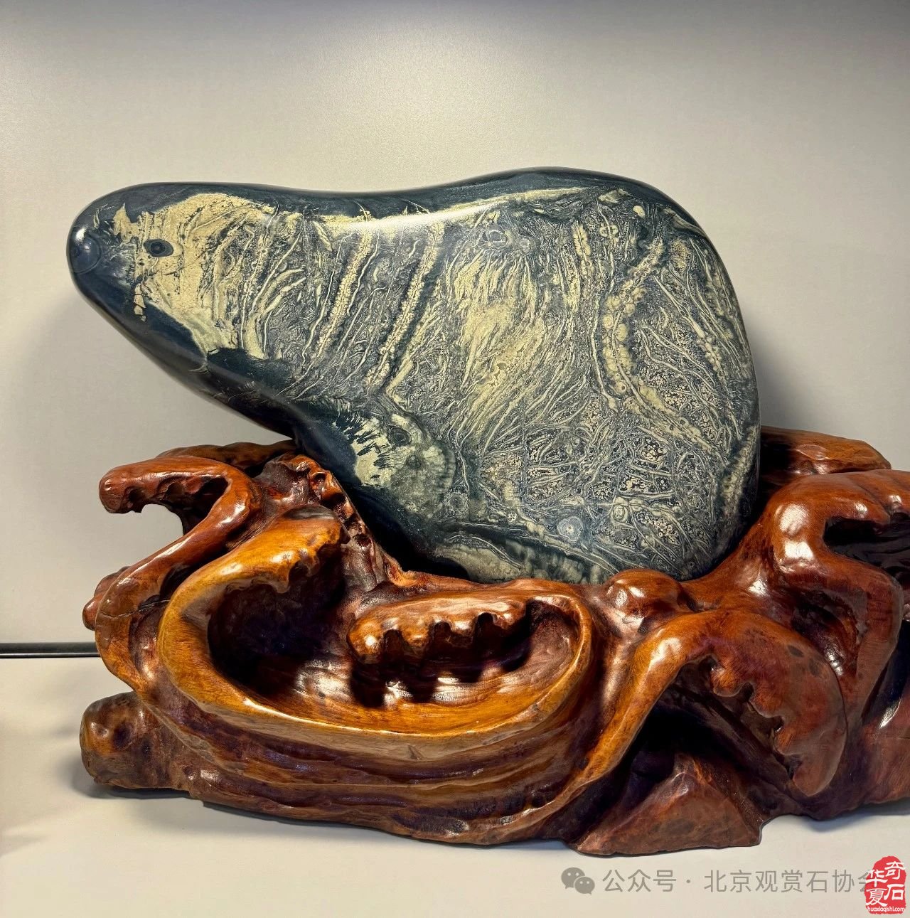 中国观赏石·醉美蒙古贞玛瑙·达雅博尔文化旅游艺术周暨第三届“赏石艺术杯”优品汇盛大开幕
