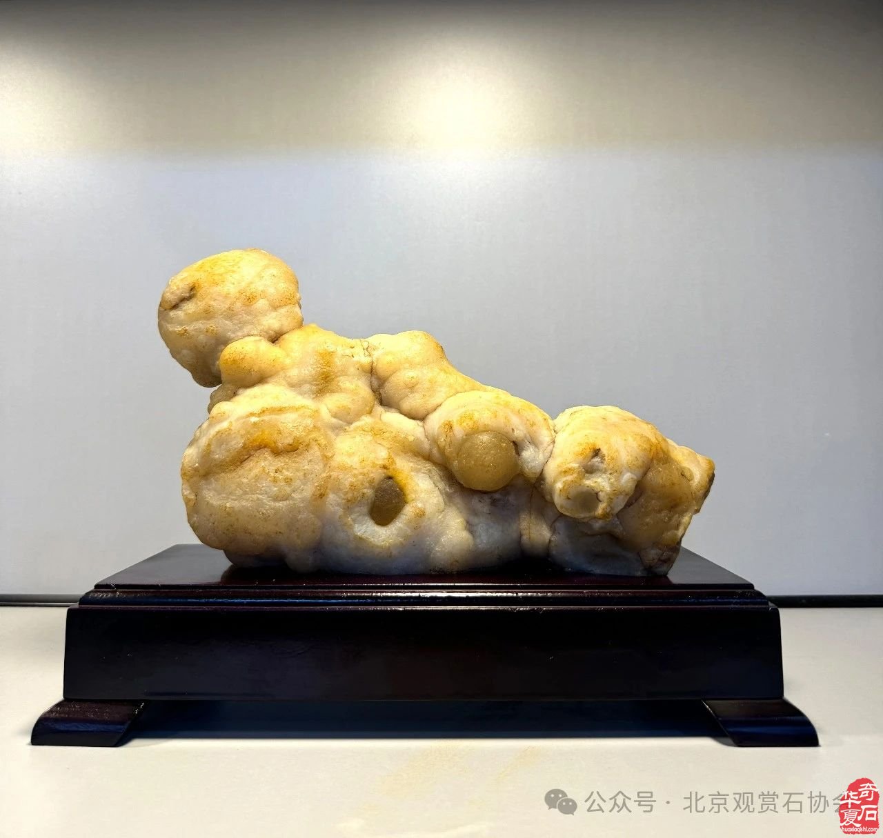 中国观赏石·醉美蒙古贞玛瑙·达雅博尔文化旅游艺术周暨第三届“赏石艺术杯”优品汇盛大开幕
