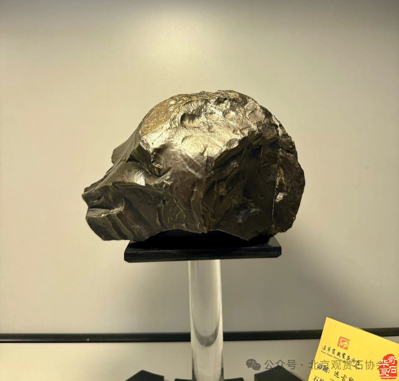 中国观赏石·醉美蒙古贞玛瑙·达雅博尔文化旅游艺术周暨第三届“赏石艺术杯”优品汇盛大开幕