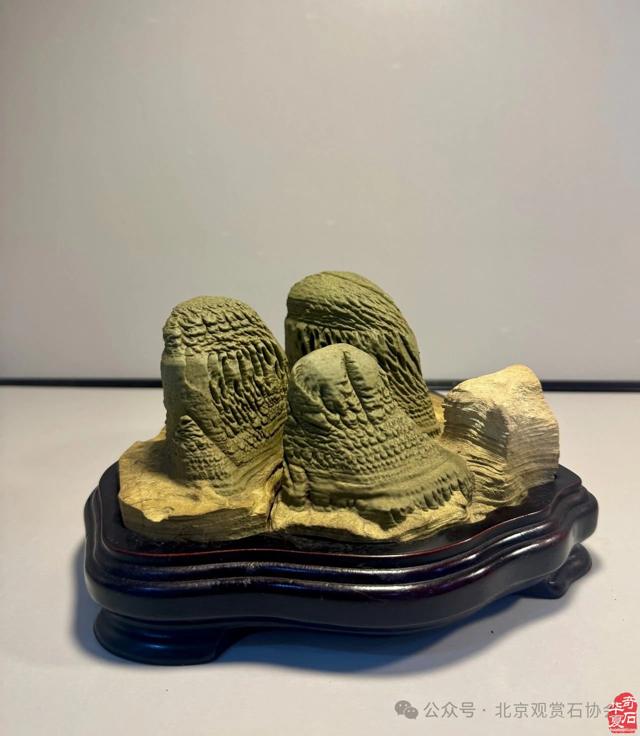 中国观赏石·醉美蒙古贞玛瑙·达雅博尔文化旅游艺术周暨第三届“赏石艺术杯”优品汇盛大开幕